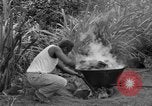 Image of poi Hawaii USA, 1924, second 36 stock footage video 65675070226