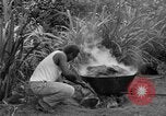 Image of poi Hawaii USA, 1924, second 37 stock footage video 65675070226