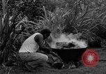 Image of poi Hawaii USA, 1924, second 38 stock footage video 65675070226