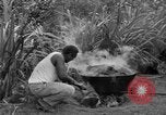 Image of poi Hawaii USA, 1924, second 39 stock footage video 65675070226