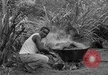 Image of poi Hawaii USA, 1924, second 40 stock footage video 65675070226