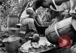 Image of poi Hawaii USA, 1924, second 50 stock footage video 65675070226