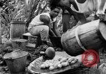 Image of poi Hawaii USA, 1924, second 51 stock footage video 65675070226