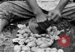 Image of poi Hawaii USA, 1924, second 52 stock footage video 65675070226