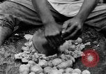 Image of poi Hawaii USA, 1924, second 54 stock footage video 65675070226
