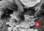 Image of poi Hawaii USA, 1924, second 55 stock footage video 65675070226