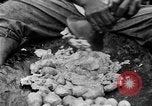 Image of poi Hawaii USA, 1924, second 56 stock footage video 65675070226