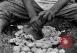 Image of poi Hawaii USA, 1924, second 57 stock footage video 65675070226