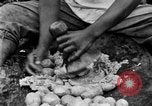 Image of poi Hawaii USA, 1924, second 59 stock footage video 65675070226