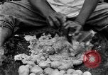 Image of poi Hawaii USA, 1924, second 60 stock footage video 65675070226