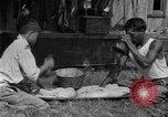 Image of poi Hawaii USA, 1924, second 62 stock footage video 65675070226