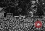 Image of tractor-drawn wagon United States USA, 1919, second 3 stock footage video 65675070231