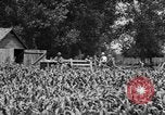Image of tractor-drawn wagon United States USA, 1919, second 4 stock footage video 65675070231