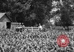 Image of tractor-drawn wagon United States USA, 1919, second 5 stock footage video 65675070231