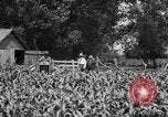 Image of tractor-drawn wagon United States USA, 1919, second 6 stock footage video 65675070231