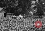 Image of tractor-drawn wagon United States USA, 1919, second 7 stock footage video 65675070231