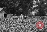 Image of tractor-drawn wagon United States USA, 1919, second 8 stock footage video 65675070231