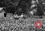 Image of tractor-drawn wagon United States USA, 1919, second 9 stock footage video 65675070231