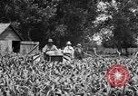 Image of tractor-drawn wagon United States USA, 1919, second 10 stock footage video 65675070231