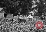 Image of tractor-drawn wagon United States USA, 1919, second 16 stock footage video 65675070231