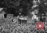 Image of tractor-drawn wagon United States USA, 1919, second 18 stock footage video 65675070231