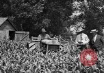Image of tractor-drawn wagon United States USA, 1919, second 21 stock footage video 65675070231