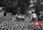 Image of tractor-drawn wagon United States USA, 1919, second 24 stock footage video 65675070231