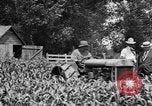 Image of tractor-drawn wagon United States USA, 1919, second 27 stock footage video 65675070231