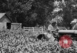 Image of tractor-drawn wagon United States USA, 1919, second 28 stock footage video 65675070231
