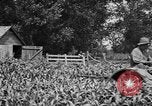 Image of tractor-drawn wagon United States USA, 1919, second 29 stock footage video 65675070231
