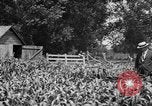 Image of tractor-drawn wagon United States USA, 1919, second 30 stock footage video 65675070231