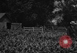 Image of tractor-drawn wagon United States USA, 1919, second 31 stock footage video 65675070231