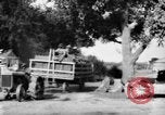 Image of tractor-drawn wagon United States USA, 1919, second 37 stock footage video 65675070231