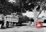 Image of tractor-drawn wagon United States USA, 1919, second 38 stock footage video 65675070231