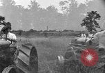 Image of tractor-drawn binder United States USA, 1919, second 11 stock footage video 65675070232