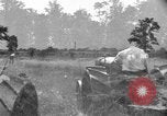 Image of tractor-drawn binder United States USA, 1919, second 12 stock footage video 65675070232