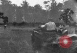 Image of tractor-drawn binder United States USA, 1919, second 13 stock footage video 65675070232