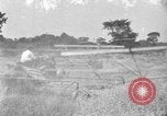 Image of tractor-drawn binder United States USA, 1919, second 34 stock footage video 65675070232
