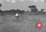 Image of tractor-drawn binder United States USA, 1919, second 36 stock footage video 65675070232