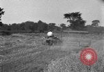 Image of tractor-drawn binder United States USA, 1919, second 39 stock footage video 65675070232