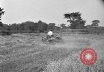 Image of tractor-drawn binder United States USA, 1919, second 40 stock footage video 65675070232
