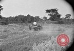 Image of tractor-drawn binder United States USA, 1919, second 41 stock footage video 65675070232