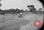 Image of tractor-drawn binder United States USA, 1919, second 42 stock footage video 65675070232