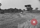 Image of tractor-drawn binder United States USA, 1919, second 43 stock footage video 65675070232