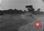 Image of tractor-drawn binder United States USA, 1919, second 44 stock footage video 65675070232