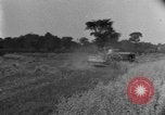 Image of tractor-drawn binder United States USA, 1919, second 45 stock footage video 65675070232