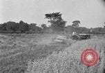 Image of tractor-drawn binder United States USA, 1919, second 46 stock footage video 65675070232