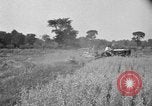 Image of tractor-drawn binder United States USA, 1919, second 47 stock footage video 65675070232