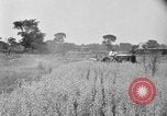 Image of tractor-drawn binder United States USA, 1919, second 49 stock footage video 65675070232
