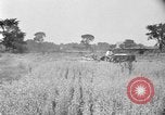 Image of tractor-drawn binder United States USA, 1919, second 50 stock footage video 65675070232